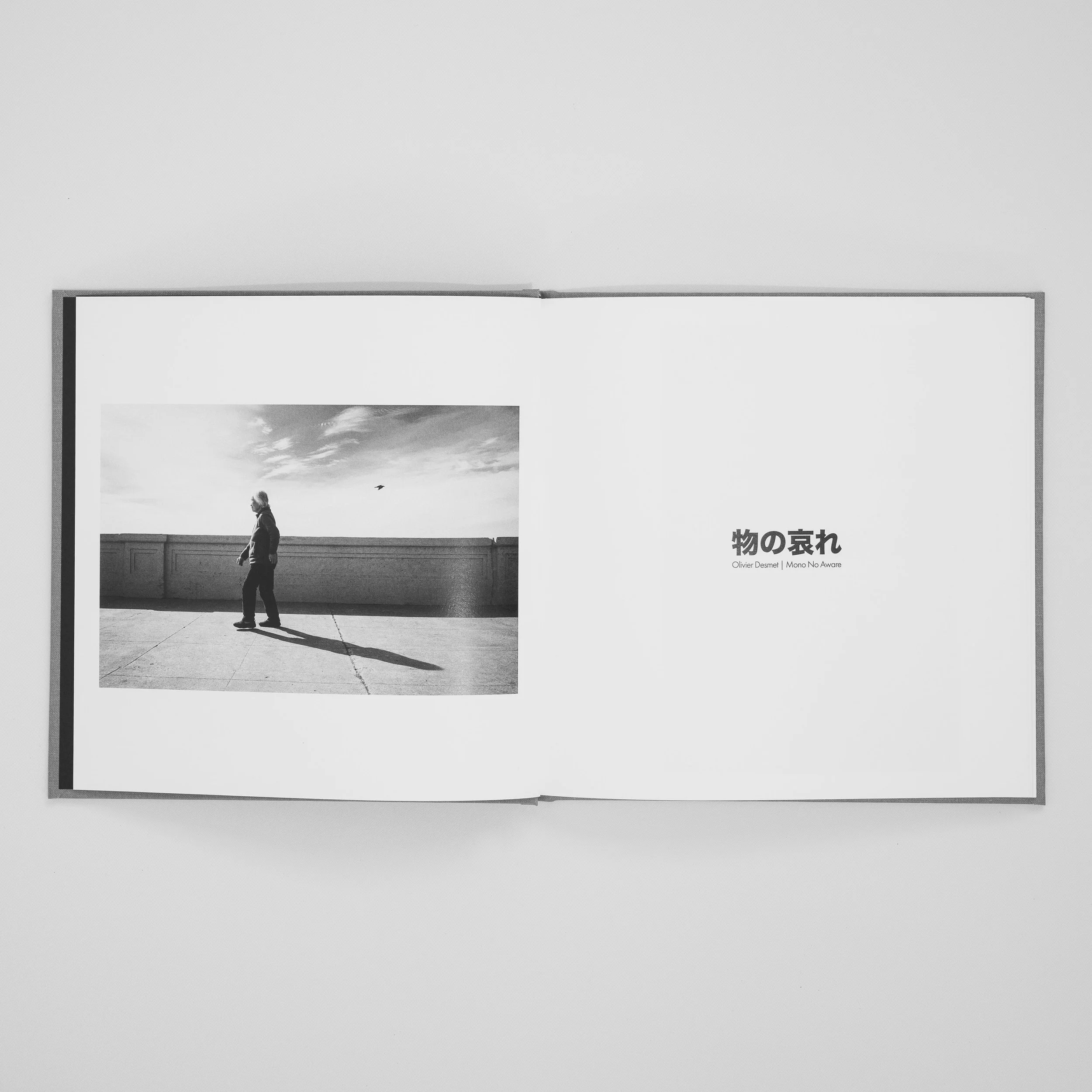 Mono No Aware — Olivier Desmet